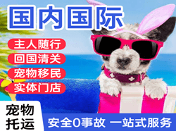 襄阳刘集航空快递国际宠物托运 【国
